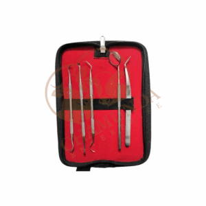 Dental Kit Set Of 5 Pcs